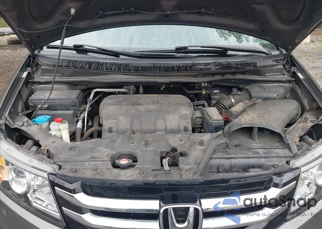 5FNRL5H67EB006164: 43043244