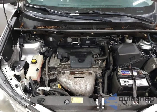 JTMBFREV2D5011123: 43043857