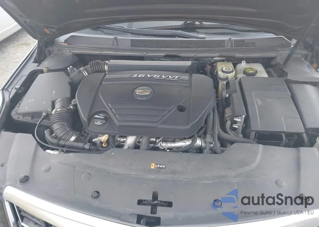 2G61V5S87G9129152: 43043864