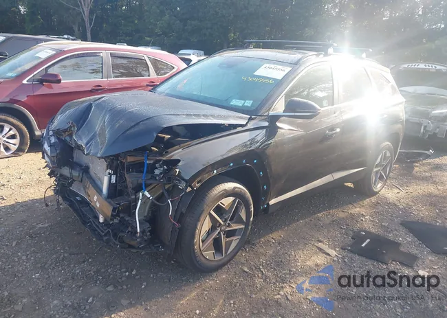 3KMJCCDE0SE017570: 43045556