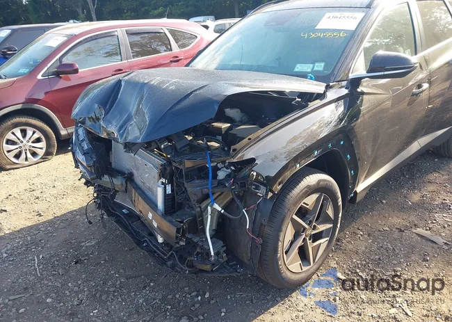 3KMJCCDE0SE017570: 43045556