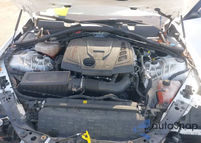 ZARFAMAN6L7636464: 43045737