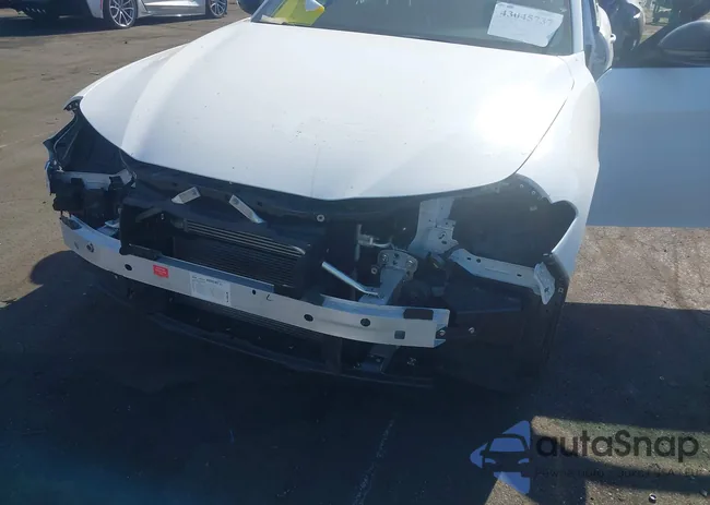 ZARFAMAN6L7636464: 43045737