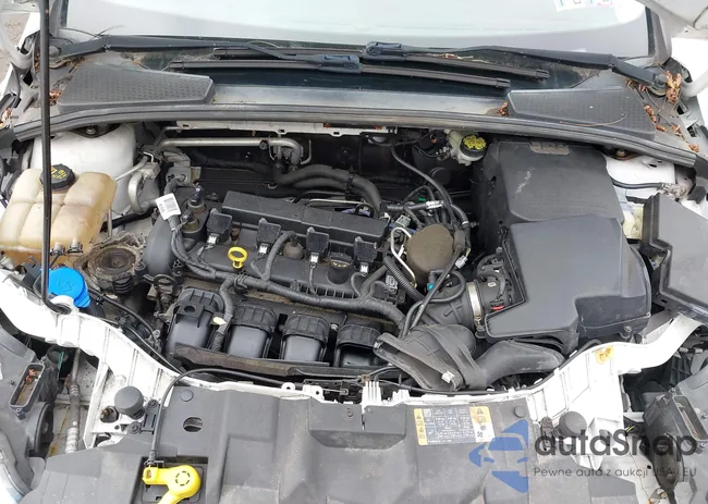 1FADP3K29FL383205: 43046561