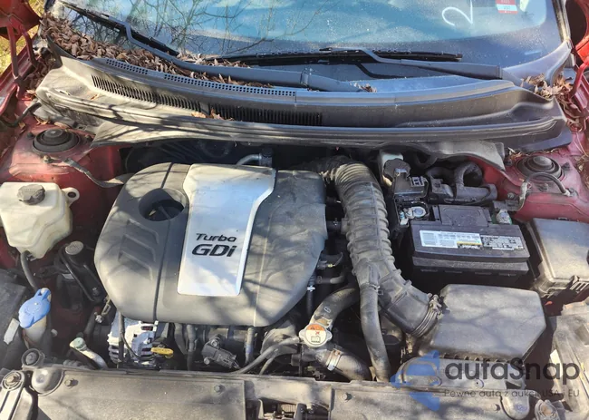 KMHTC6AE6FU240474: 43046579