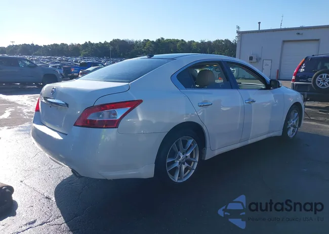 1N4AA5AP2BC856238: 43048466