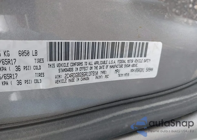 2C4RDGBG9GR137310: 43048467