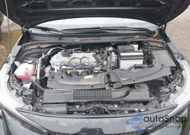 5YFEPMAEXNP385597: 43047869