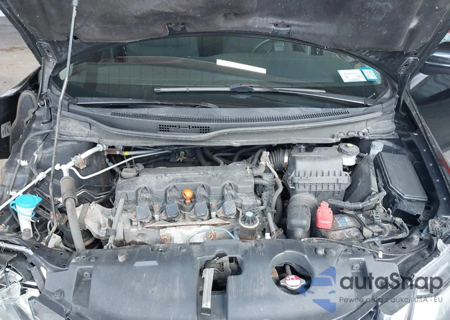 19XFB2E52FE041346: 43047921