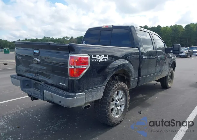 1FTFW1EFXDFB87732: 43047925