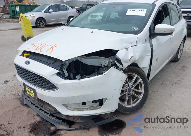 1FADP3K22HL313435: 43049424