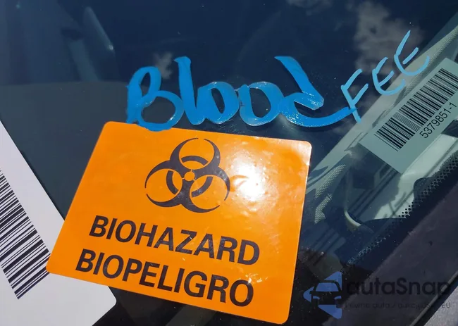 5N1BT3AB7PC899848: 43049684