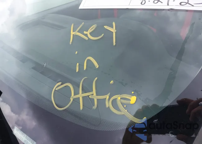 ZFBERFATXF6197534: 43049695