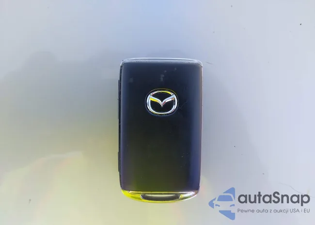 3MVDMBBM1PM551013: 43050731