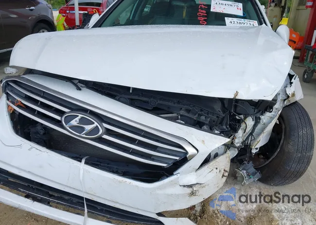 5NPE24AFXGH398440: 43049875