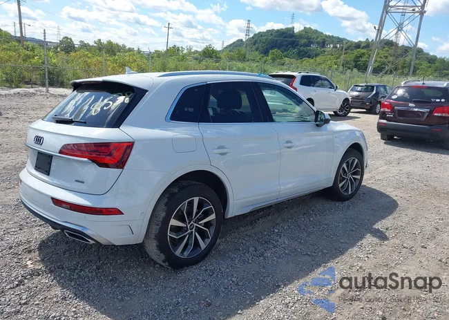 WA1FAAFY1P2168538: 43051576