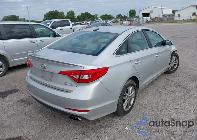 5NPE24AFXHH441837: 43051578