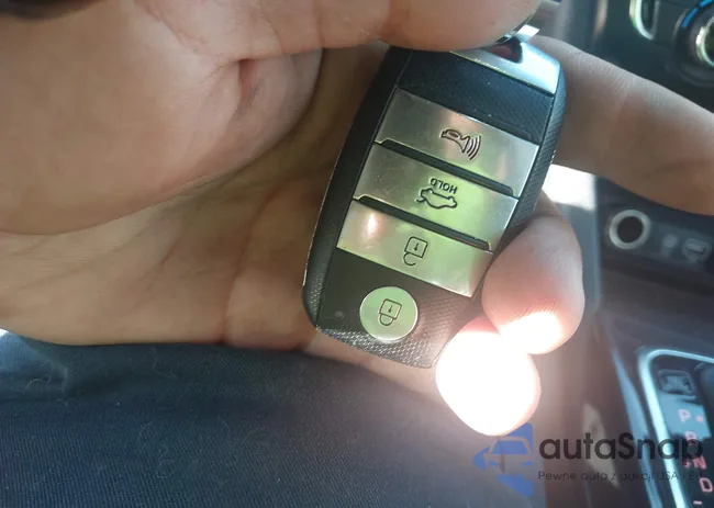 5XXGU4L36HG131055: 43051066