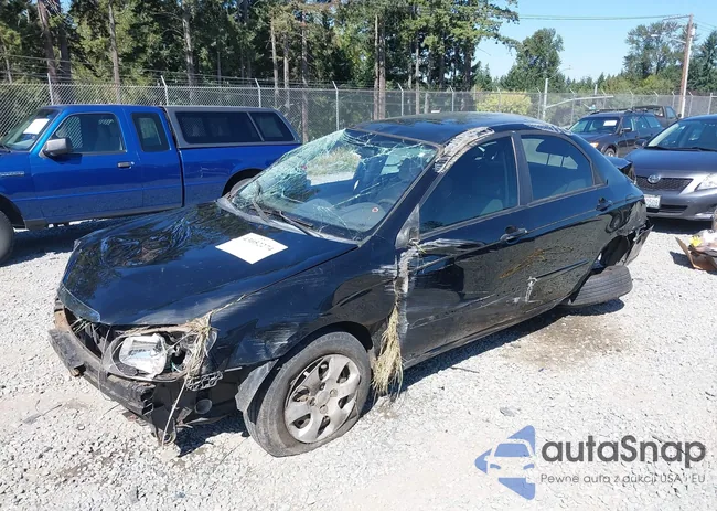 KNAFE221795631886: 43052274