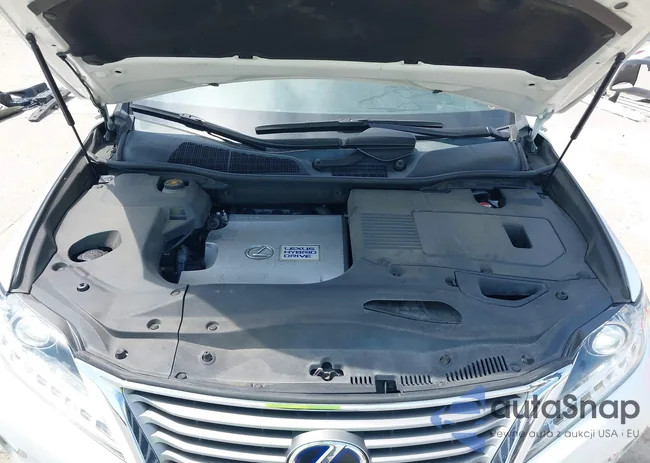 2T2BC1BA7FC003466: 43052480