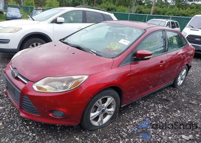 1FADP3F22EL204429: 43052720