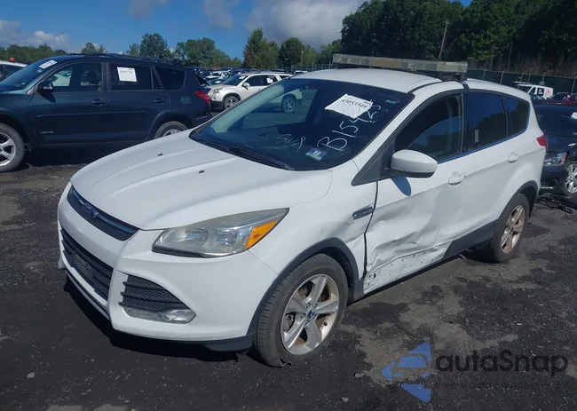 1FMCU9GX6FUC89875: 43053549