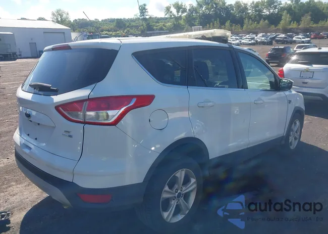 1FMCU9GX6FUC89875: 43053549