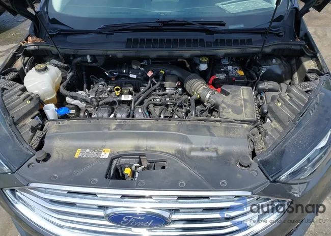 2FMPK3K96LBB35911: 43053553