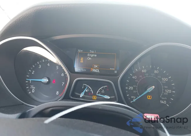 1FADP3F21JL252594: 43053683