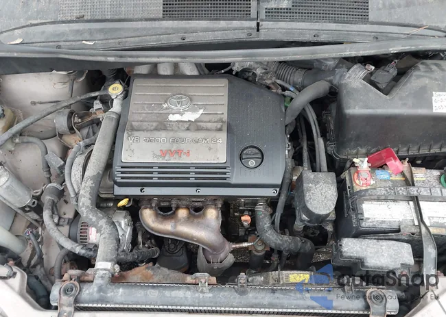 4T3ZF13C32U469194: 43053082