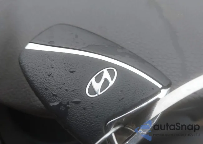 KMHFG4JGXGA549200: 43054813