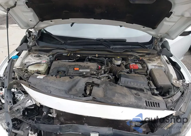 19XFC2F67LE021075: 43054904