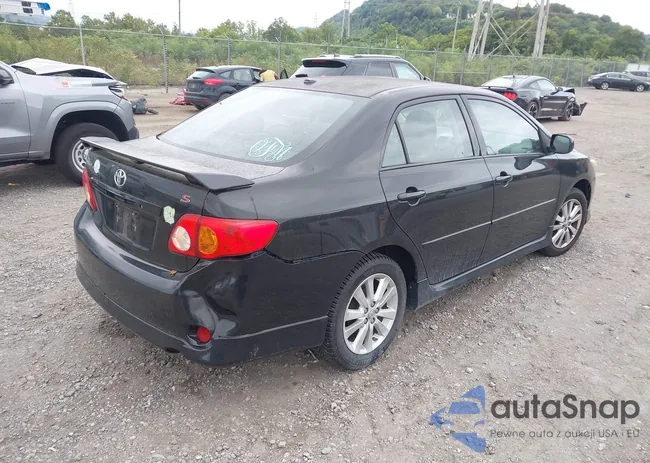 2T1BU4EEXAC294331: 43056539