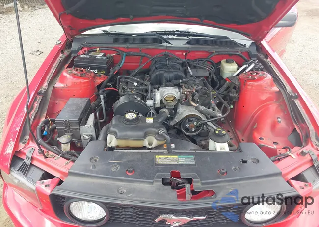 1ZVFT84N655245396: 43058227