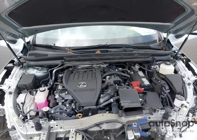 2T2BAMCA8RC073522: 43058391