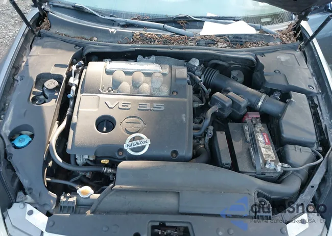 1N4BA41E95C855556: 43058053