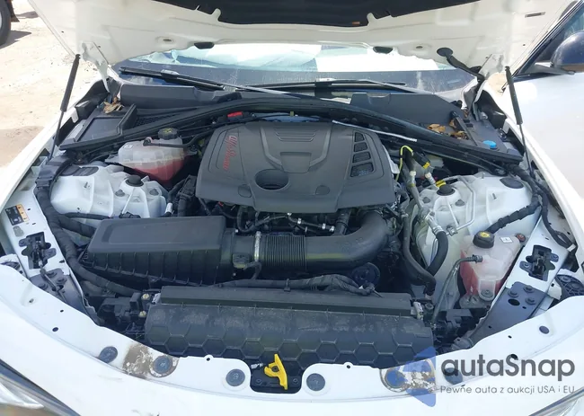 ZARFANANXM7644302: 43059281