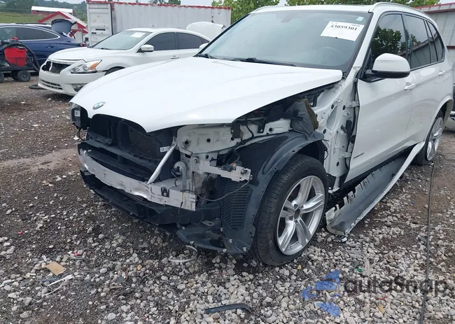 5UXKR0C30H0V77691: 43059301