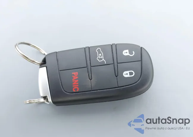 1C4SDJFT3PC638823: 43060741