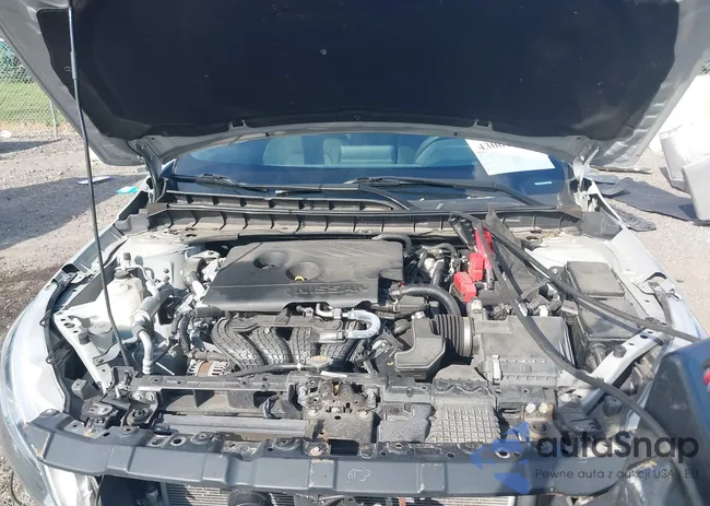 1N4BL4BV6KC172704: 43061258