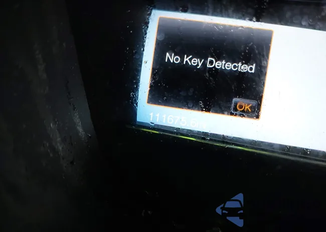 1FM5K8D8XGGA63263: 43061331