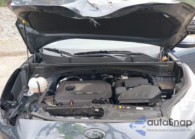 KNDP6CAC0N7974888: 43062467