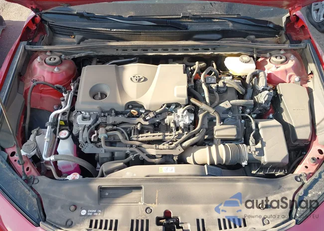 4T1DBADK8SU009520: 43062545