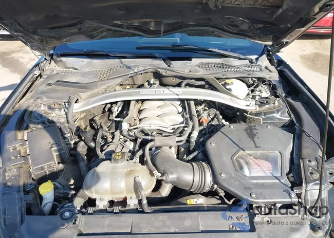 1FA6P8CF1J5129329: 43063207