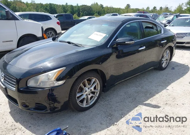 1N4AA5AP2AC818703: 43063216