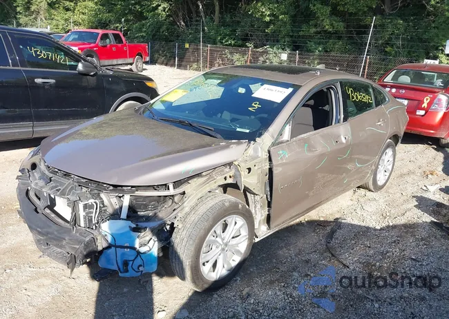 1G1ZD5ST1RF170127: 43063392