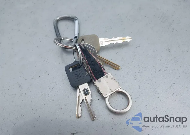 1G4HP52K9VH455377: 43063743