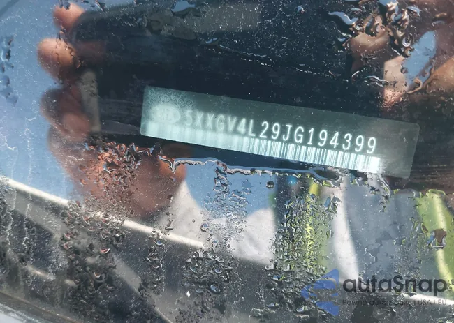 5XXGV4L29JG194399: 43064287