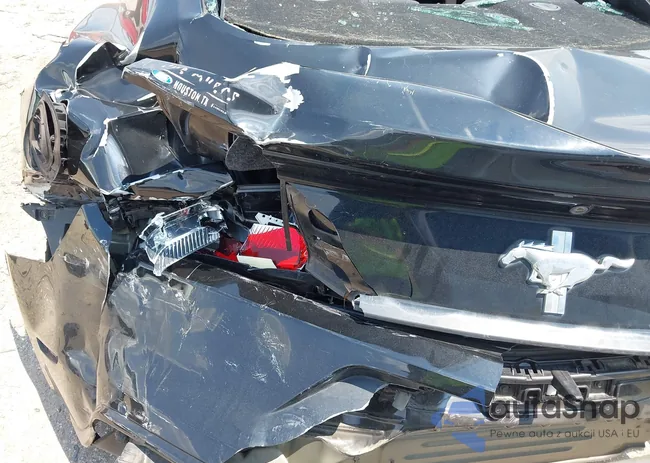 1FA6P8AM5G5298831: 43063967