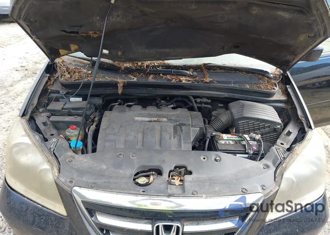 5FNRL38606B440335: 43064031